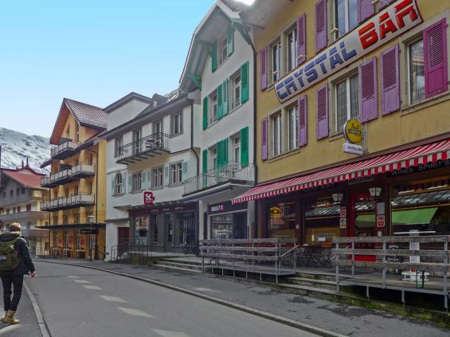 Apartment Lauber - Wengen 