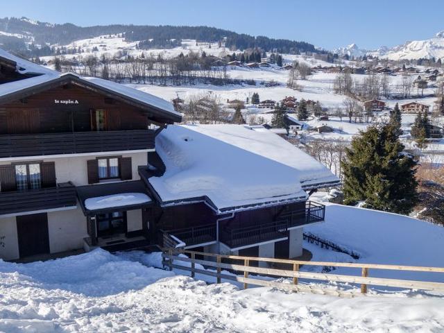 Apartment Le Sapin - Megève