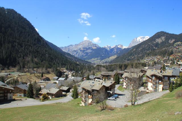 Apartements LES GENTIANES - Châtel