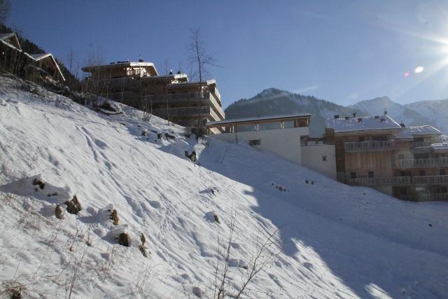 Apartements LES GENTIANES - Châtel