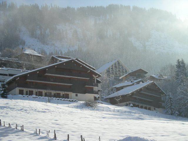 Apartements LES GENTIANES - Châtel