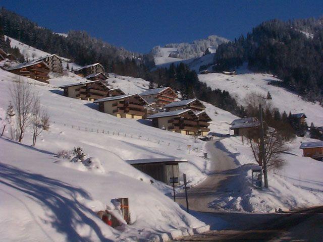 Apartements LE HAMEAU DES QUATRE SAIS - Châtel