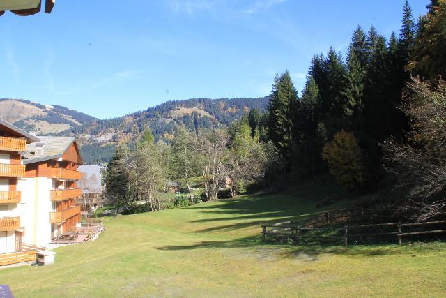 Apartements LES MYRTILLES - Châtel