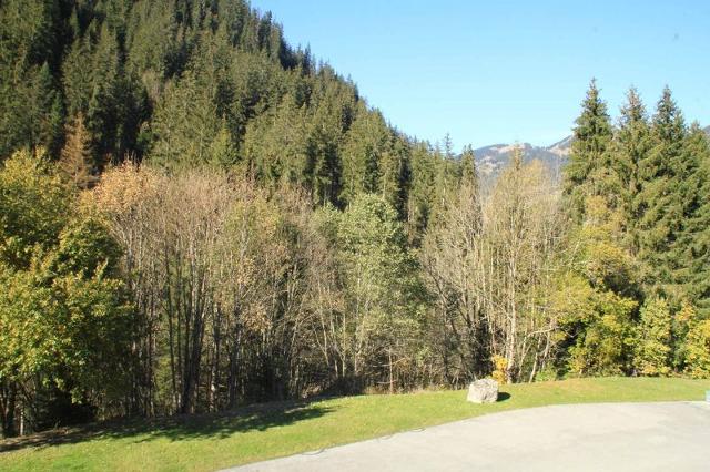 Apartements LE PERCE-NEIGE - Châtel