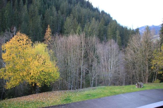 Apartements LE PERCE-NEIGE - Châtel