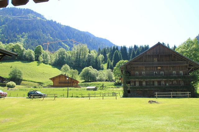 Apartements LE PERCE-NEIGE - Châtel