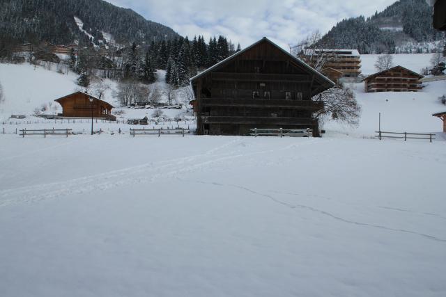 Apartements LE PERCE-NEIGE - Châtel