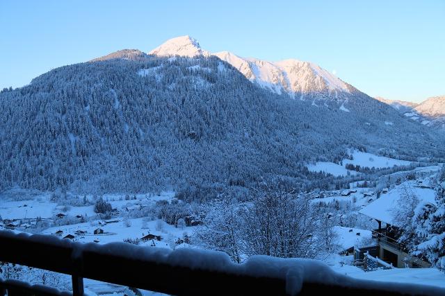 Apartements L'alpage - Châtel