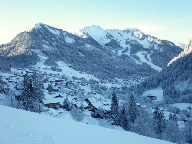 Apartements LE HAMEAU DES QUATRE SAIS - Châtel