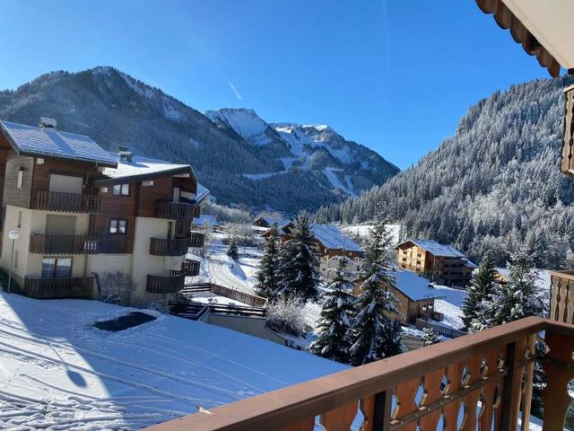 Apartements LES JONQUILLES - Châtel