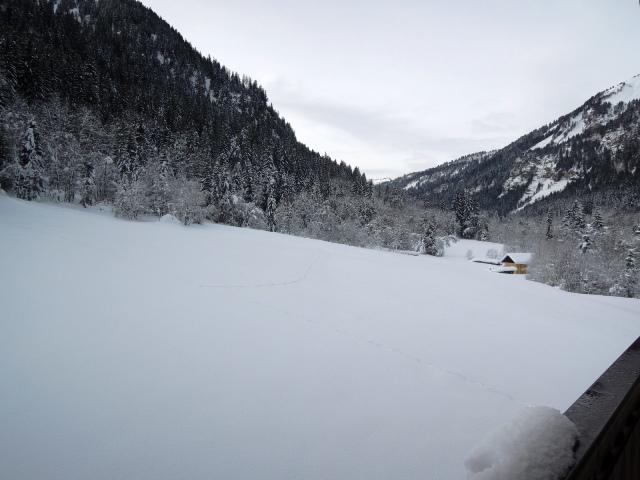 Apartements LES MYRTILLES - Châtel