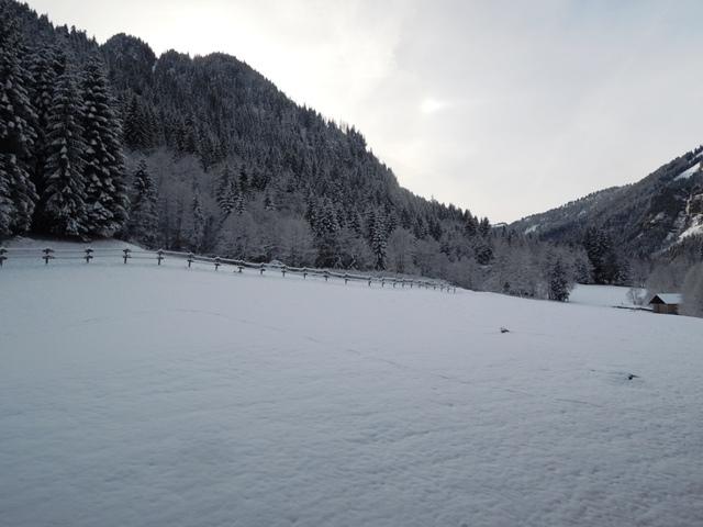 Apartements LES MYRTILLES - Châtel