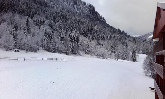 Apartements LES MYRTILLES - Châtel