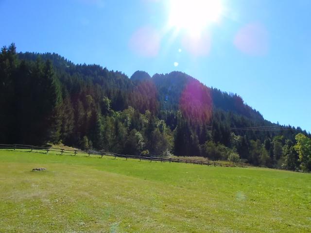 Apartements LES MYRTILLES - Châtel