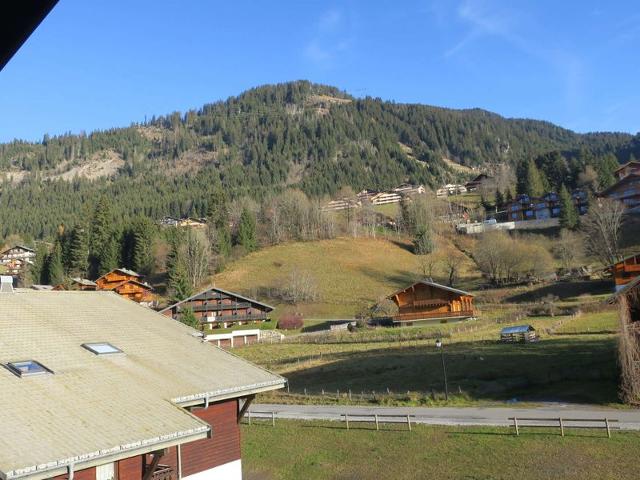 Apartements LE PERCE-NEIGE - Châtel