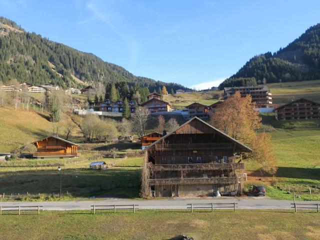 Apartements LE PERCE-NEIGE - Châtel