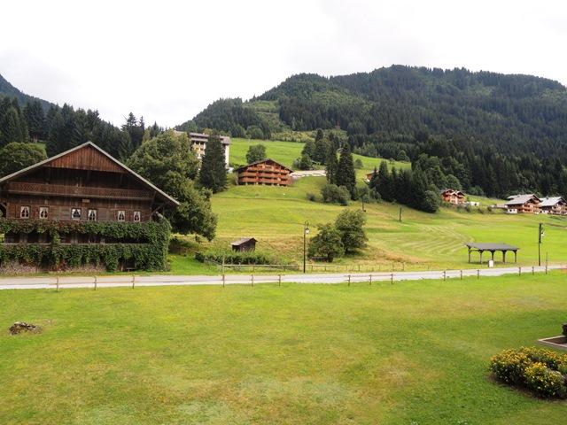 Apartements LE PERCE-NEIGE - Châtel