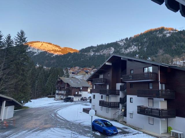Apartements LE PERCE-NEIGE - Châtel