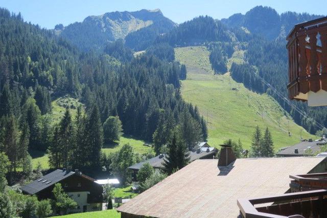 Apartements LES PERTHUIS - Châtel