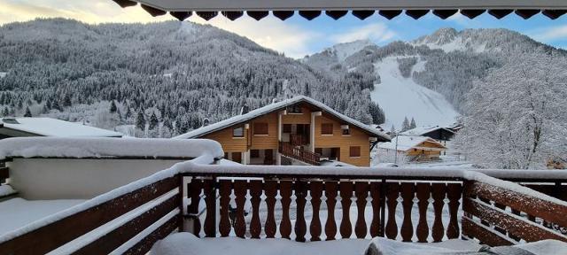 Apartements LES PERTHUIS - Châtel