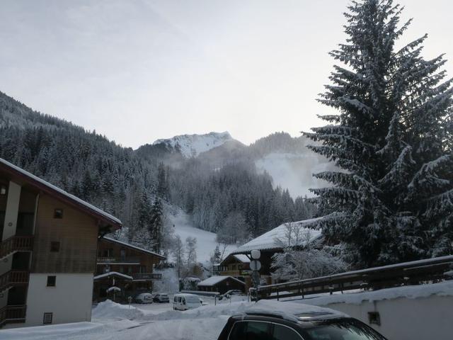 Apartements LES PERTHUIS - Châtel