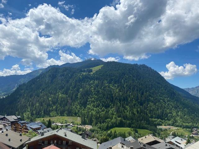 Apartements LES SEILLES - Châtel
