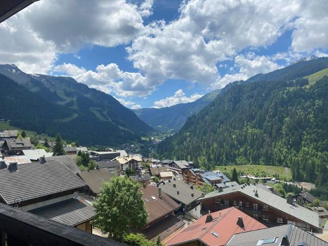 Apartements LES SEILLES - Châtel