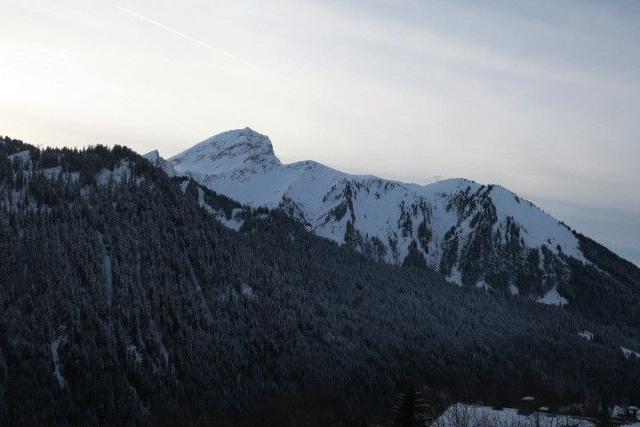 Apartements LE YETI - Châtel