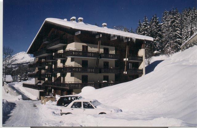 Apartements LE YETI - Châtel