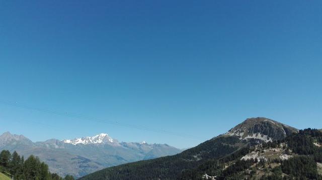 Apartements LE KILIMANDJARO - Plagne Centre