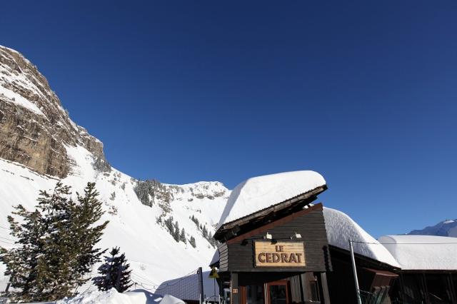 Apartements CEDRAT - Avoriaz