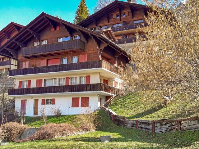 Châlet Plein Soleil - Wengen