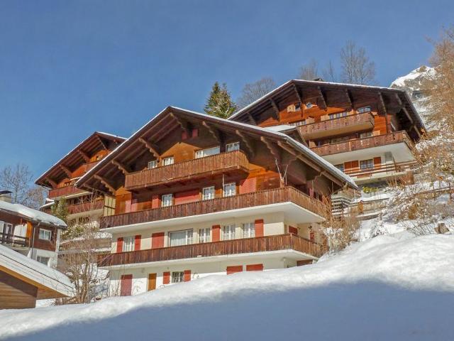 Châlet Plein Soleil - Wengen