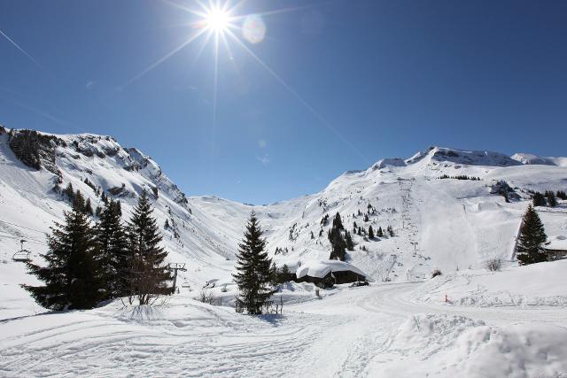 Apartements MELEZES - Avoriaz