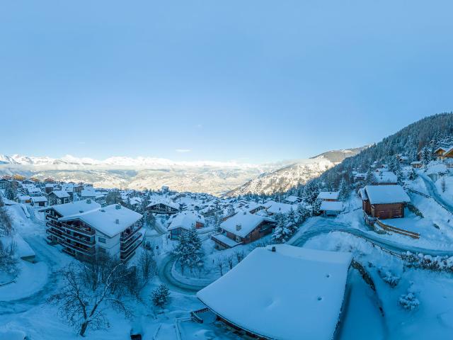 Chalet Chalet Mopani - Nendaz