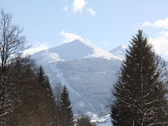 Apartment Higgins - Bad Hofgastein