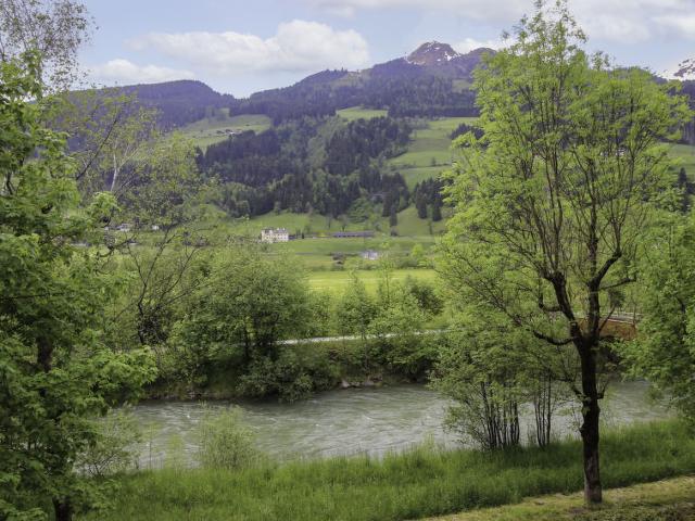 Apartment Walter - Bad Hofgastein