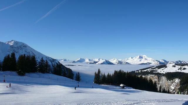 Apartements MALINKA - Avoriaz