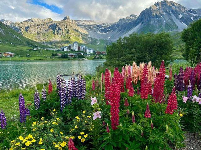 22m² Studio at the foot of the slopes with balcony in Tignes FR-1-449-142 - Tignes Val Claret