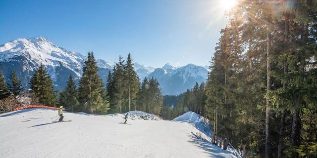 Apartements LE CENTRE - Plagne - Champagny en Vanoise