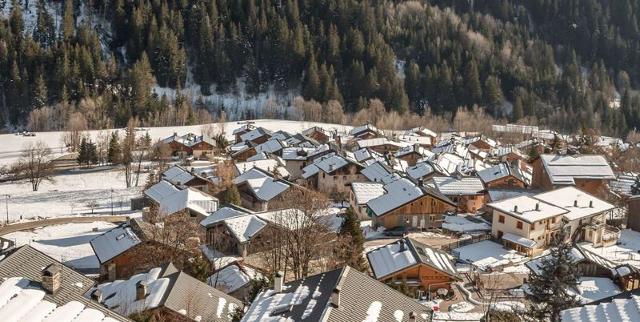 Chalet LES SOLDANELLES - Plagne - Champagny en Vanoise