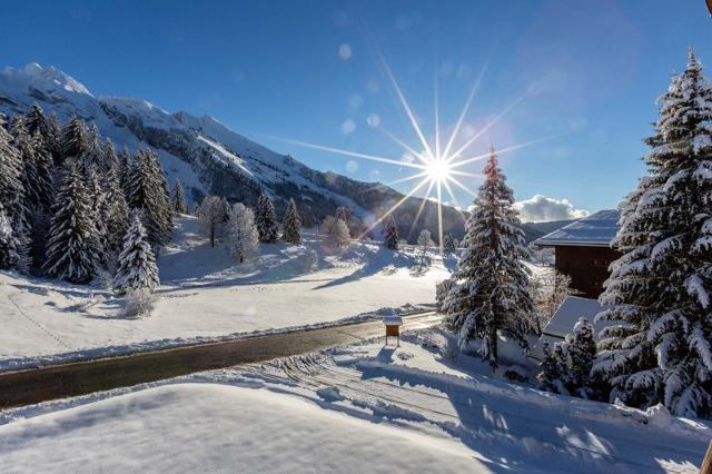 Apartements BALCONS A - La Clusaz