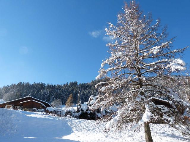 Apartments Converses Riondes - La Clusaz