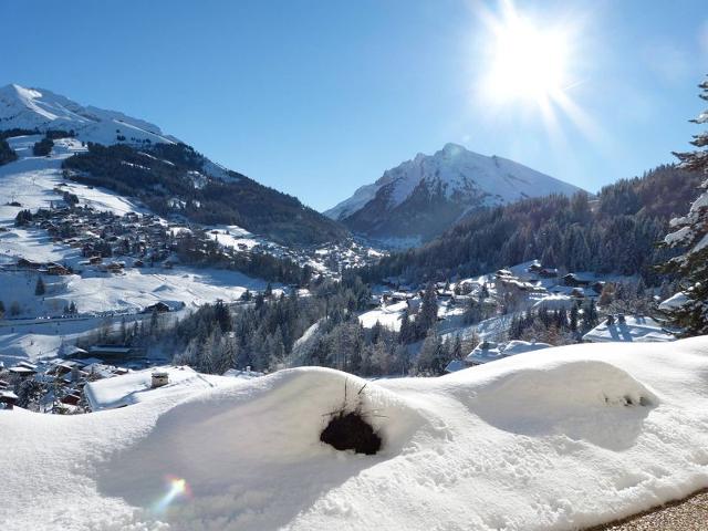 Apartements HAUTS DES RIFFROIDS B - La Clusaz