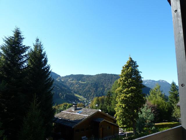 Chalet Hulotte - La Clusaz