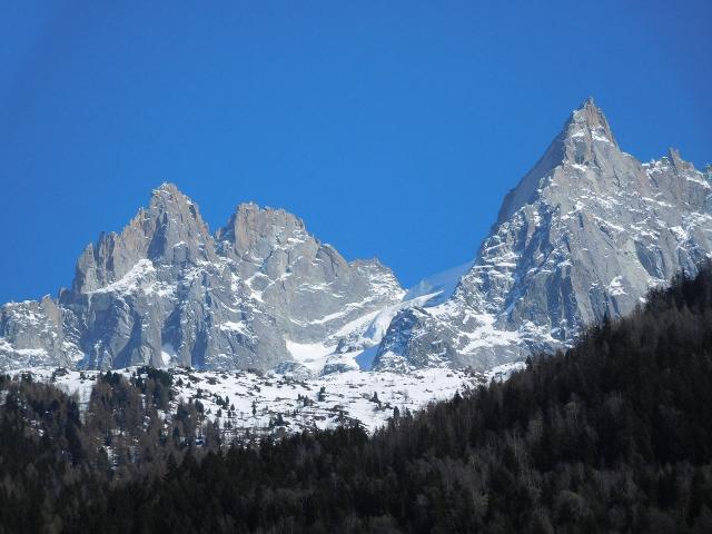 Appartements Aiguille Du Midi - A1 - Chamonix Centre