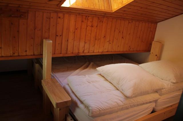 Apartements LES BICHES - Châtel