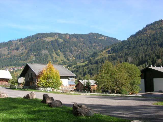 Apartements LE LINGA - Châtel