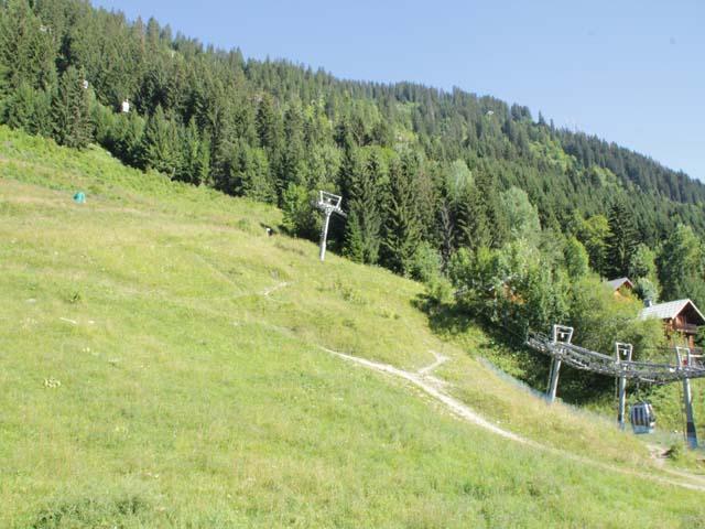 Apartements LES RHODODENDRONS - Châtel