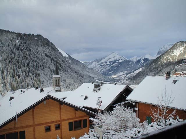 Apartements LES RHODODENDRONS - Châtel